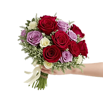 Crimson Rose Elegance