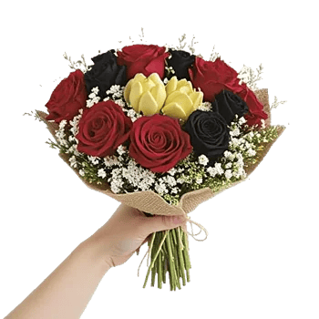 Crimson Rose Elegance