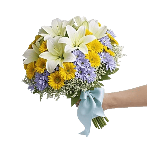 Blossom Petal Serenity