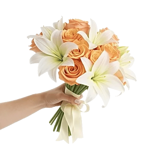 Blushing Rose Symphony