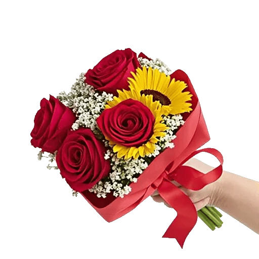 Crimson Rose Elegance