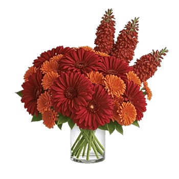 Crimson Blossom Harmony