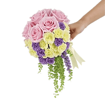 Delicate Petal Cascade