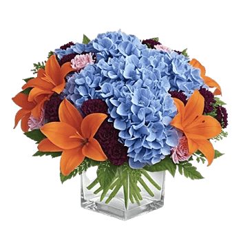 Sapphire Bloom Whisper
