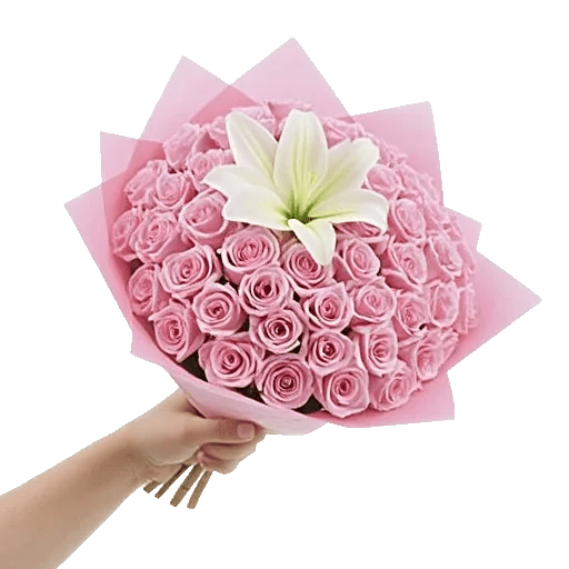 Blushing Rose Symphony