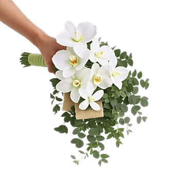 Orchid Bloom Cascade