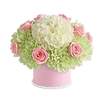 Serene Petal Harmony