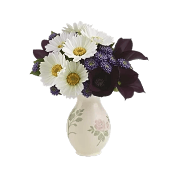 Ivory Blossom Radiance