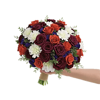 Blushing Rose Symphony