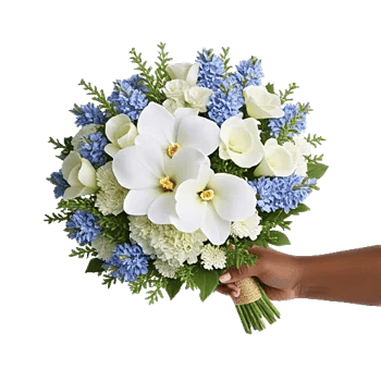 Modern White Orchids