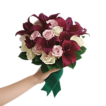 Blushing Rose Symphony