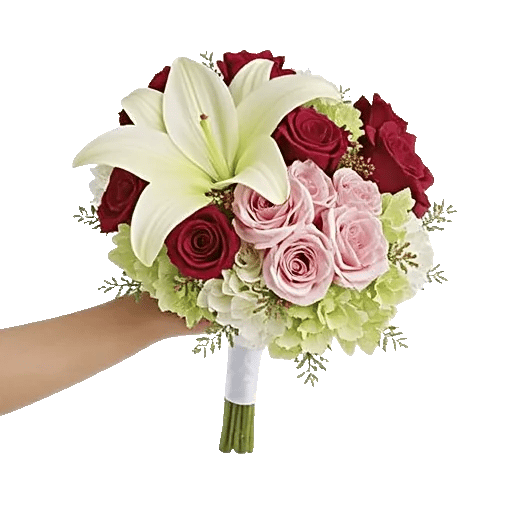 Delicate Petal Cascade