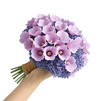 Blossom Petal Serenity