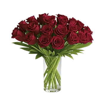 Crimson Rose Elegance
