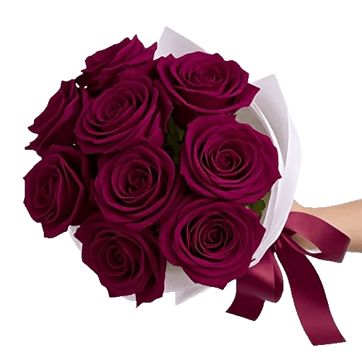 Crimson Rose Elegance