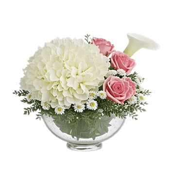 Serene Petal Harmony