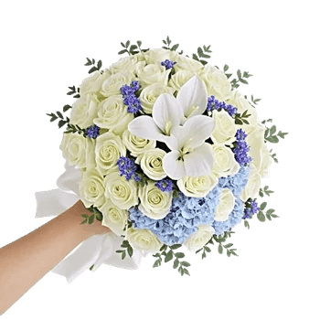 Ivory Garden Grace