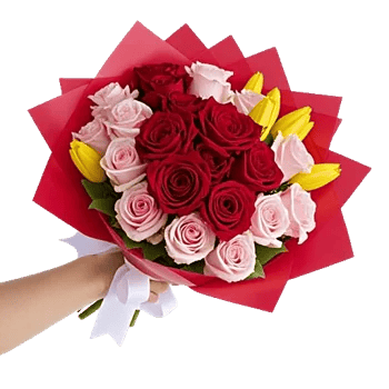 Crimson Rose Elegance