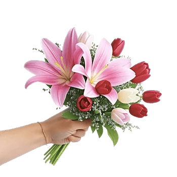 Blossom Harmony Display