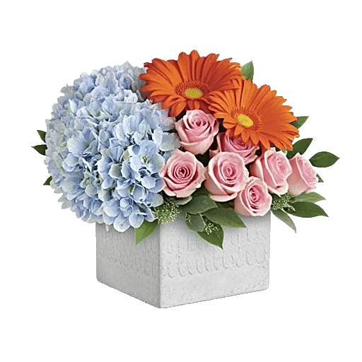 Serene Garden Harmony