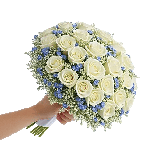 Blossom Petal Serenity