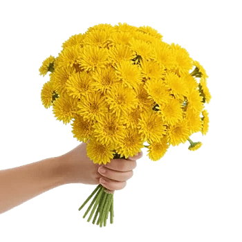 Daisy Meadow Spread