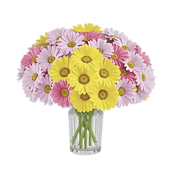 Petal Harmony Bliss