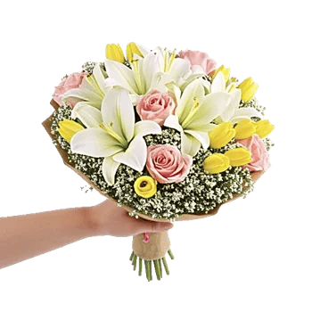 Blossom Harmony Display