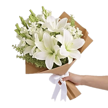 Ivory Blossom Radiance