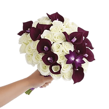 Elegant Calla Lilies