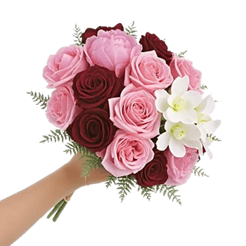 Petal Grace Harmony