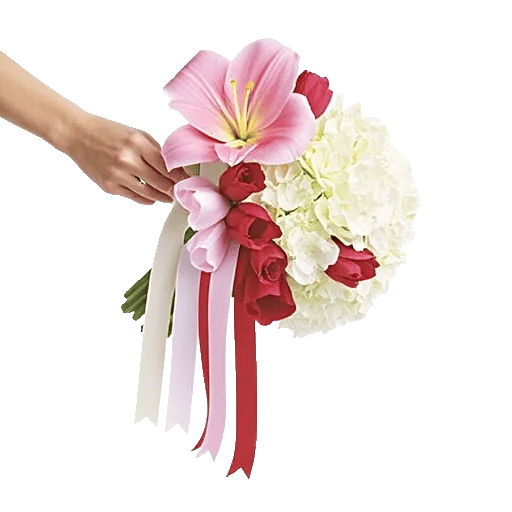 Delicate Petal Cascade