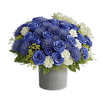 Elegant Blue Roses