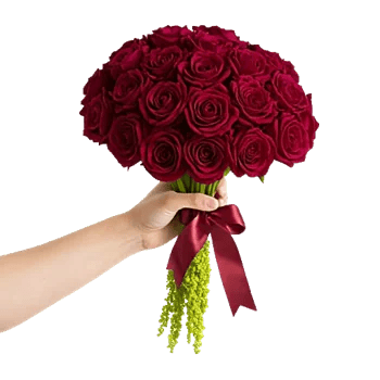 Delicate Petal Cascade