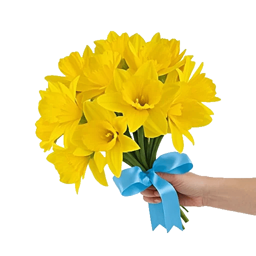 Radiant Bloom Cascade