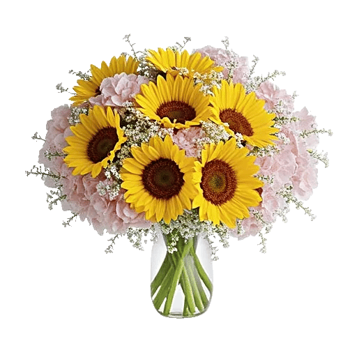 Radiant Bloom Cascade