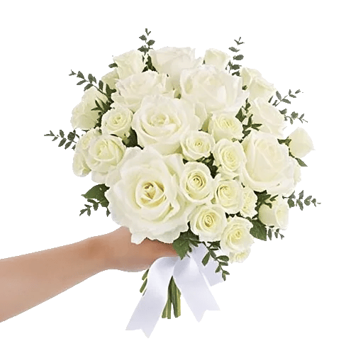 Serene Petal Harmony