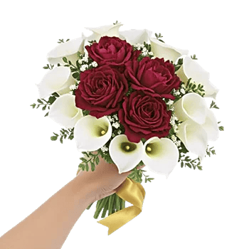 Elegant Calla Lilies