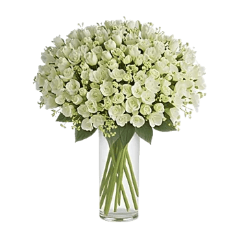 Ivory Blossom Radiance