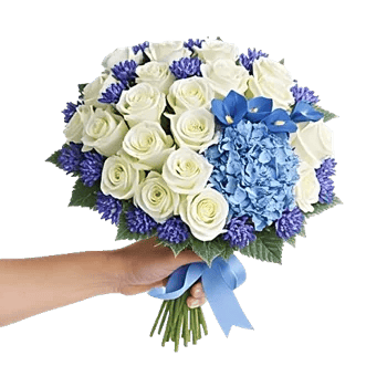 Elegant Blue Roses