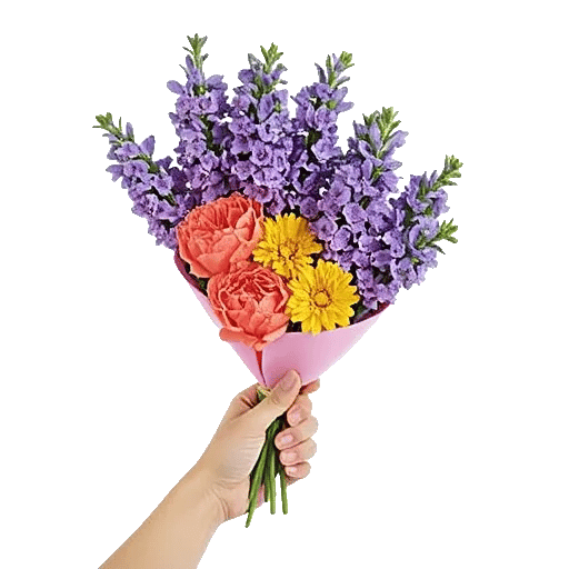 Petal Radiance Bliss