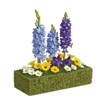 Serenity Blossom Grace