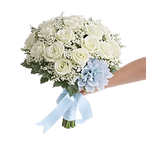 Serene Petal Harmony