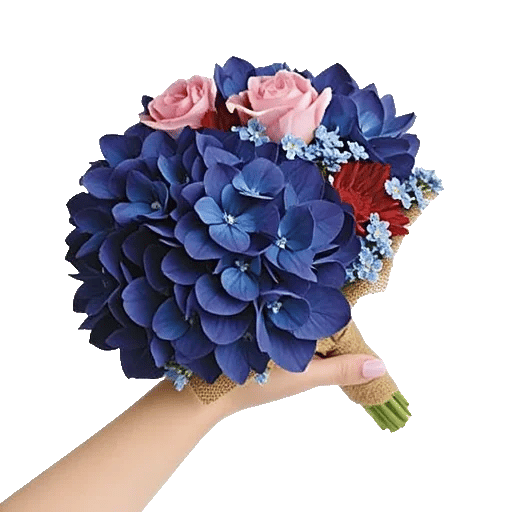 Serene Petal Harmony