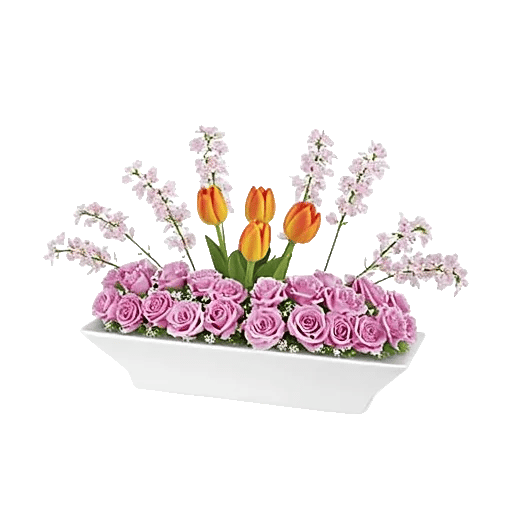 Blossom Glow Symphony