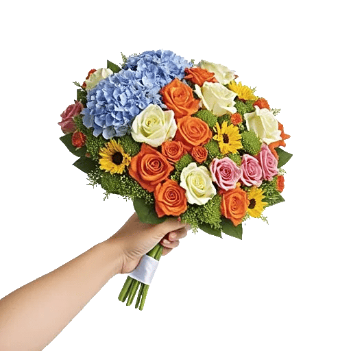 Serene Petal Harmony