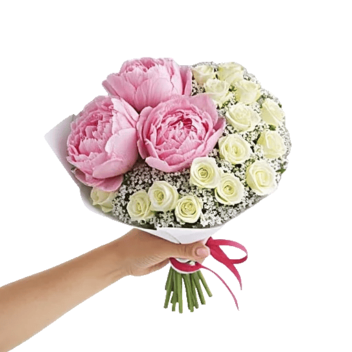 Peony Petal Harmony