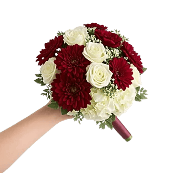 Blushing Rose Symphony