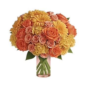 Blushing Rose Symphony