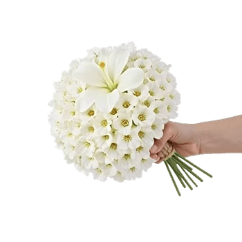 Delicate Petal Cascade